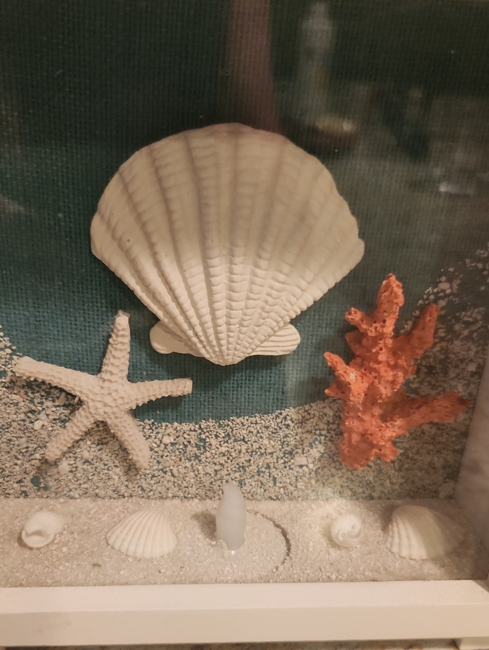 Coastal LED Light Up Seashell Shadow Boxes Set Of 3 - Picture 7 of 10